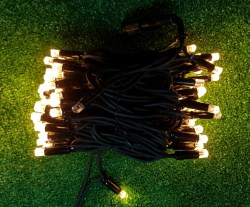 20180802_100537_crop_604x728